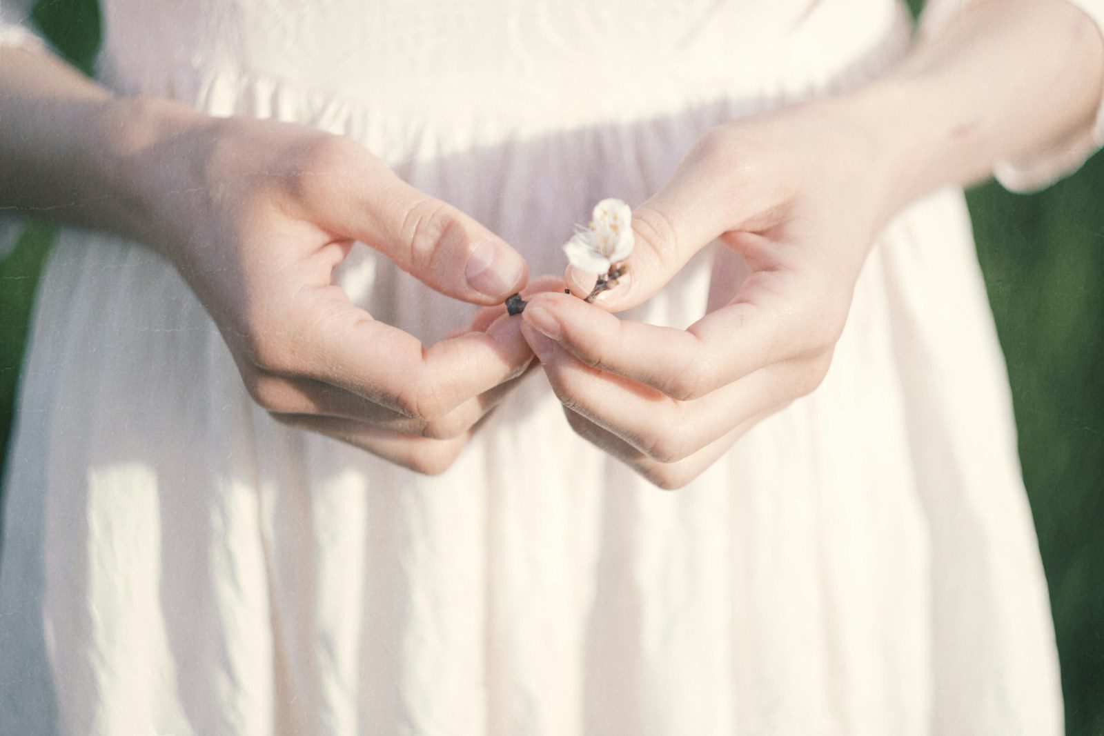 Woman's hands holding a small white flower