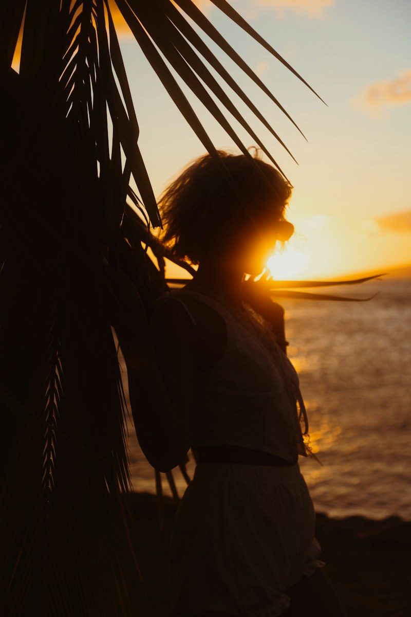 A person in silhouette against a warm orange sky beside palm fronds